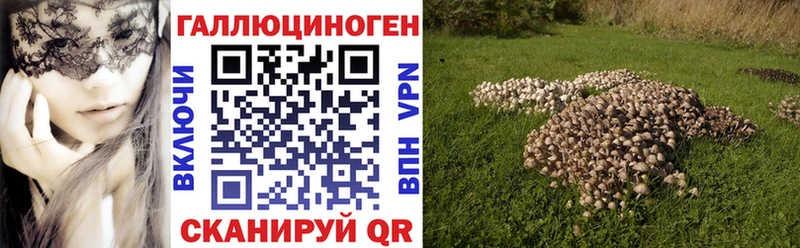 Галлюциногенные грибы Psilocybe  Купить  Калач 